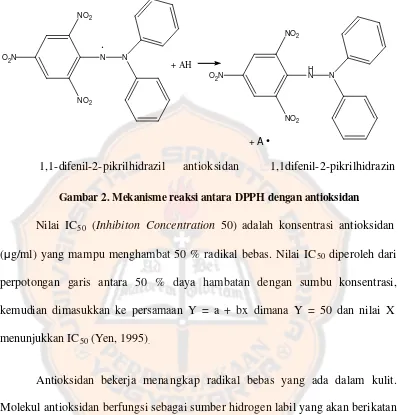Gambar 2. Mekanisme reaksi antara DPPH dengan antioksidan 