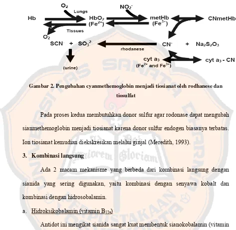 Gambar 2. Pengubahan cyanmethemoglobin menjadi tiosianat oleh rodhanese dan 