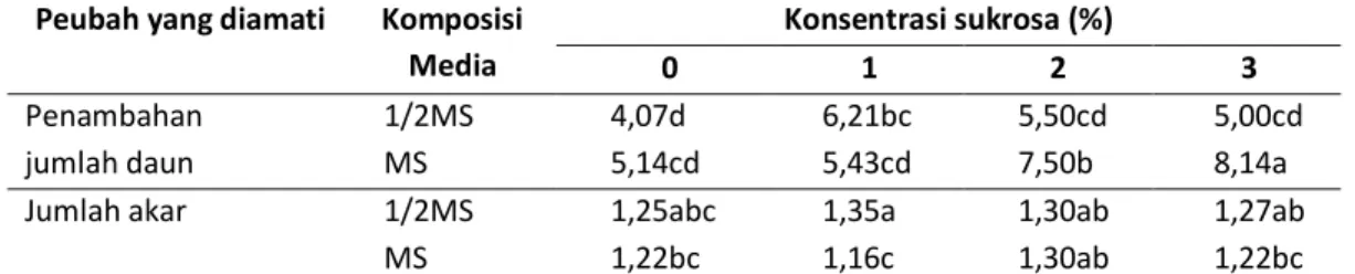 Tabel  3.  Rekapitulasi  hasil  uji  DMRT  tunas  pamelo  pada  konservasi  dengan  penurunan  konsentrasi  media MS dan sukrosa  