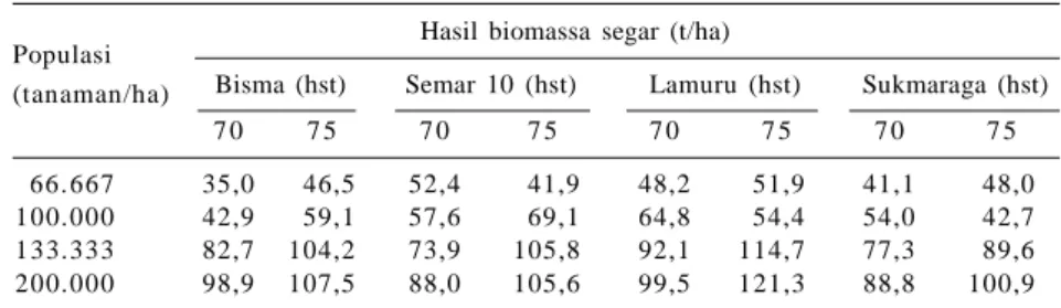 Tabel 1. Bobot  biomassa  segar  empat  varietas  jagung  dengan  populasi tanaman yang berbeda pada umur 70 dan 75 hari setelah tanam di Temilo, Gorontalo.