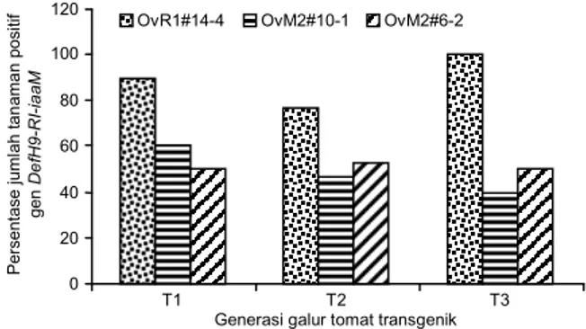 Gambar 5.  Hasil uji PCR sampel daun tomat transgenik galur OvR1#14-4. M = marka DNA ladder 1  kb, 1–10 = sampel, 11 = kontrol negatif (varietas Oval), 12 = kontrol positif (DNA plasmid  mengandung gen DefH9-RI-iaaM)