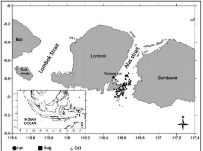 Gambar 1. Peta pengumpulan sampel di Tanjung Luar. Tanda lingkaran, persegi dan segitiga mengindikasikan posisi pengoperasian alat tangkap pancing ulur dan tonda yang diperoleh dari GPS saat observasi ilmiah diatas kapal secara berturut-turut pada Juni, Ag
