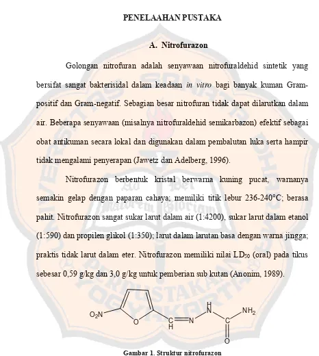 Gambar 1. Struktur nitrofurazon 