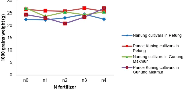 Fig. 8. Effect of N fertilizer to 1000 grains weight
