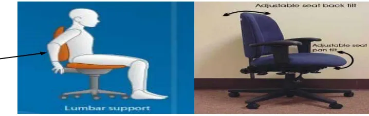 Gambar 2.3 Lumbar Support