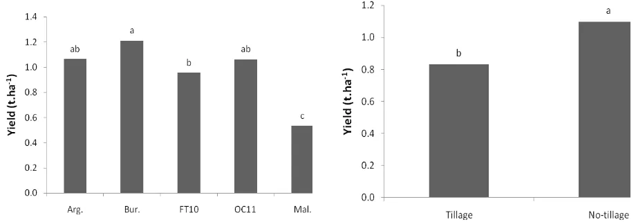 Figure 6. Grain yield of two Indonesian soybean varieties and three Madagascar soybean varieties in tillage and no tillage systems, Madagascar dry season 2014 