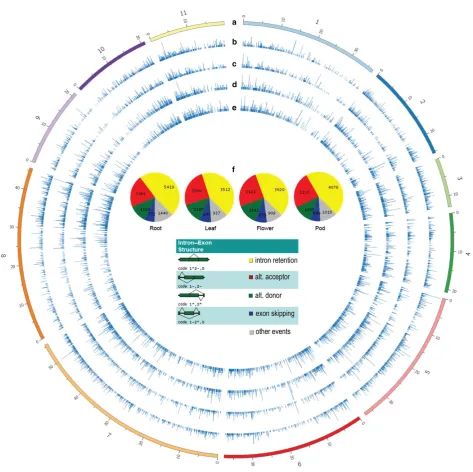Table 1 Number of AS isoform types in each tissue, based on isoform detection with ASTALAVISTA and ASproﬁle