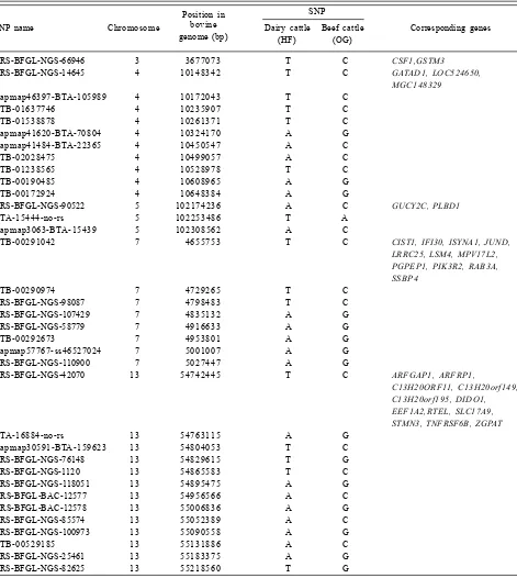 Table 3. List of selected SNPs located on gene regions identified in the beef and dairy cattle breeds.