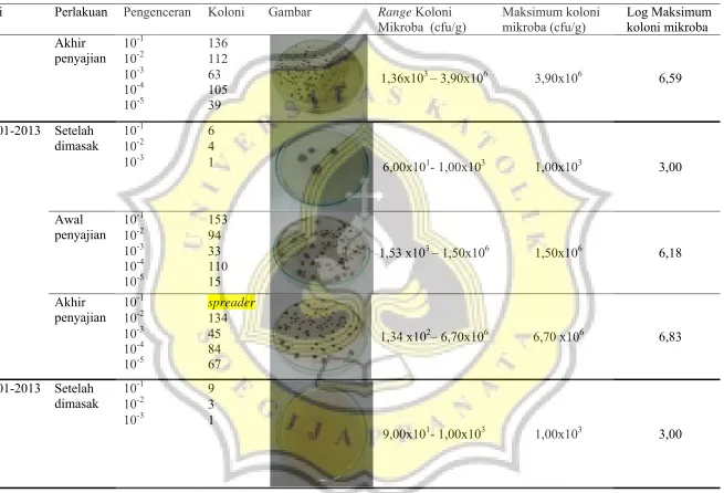 Gambar  Range Koloni 