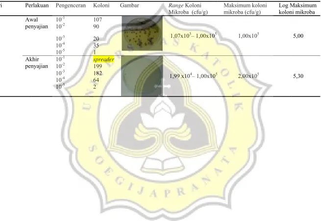 Gambar Rangge Koloni 
