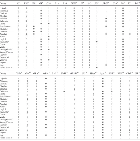 Table 2: Genotyping of 24 indica rice varieties using 24 previously reported markers and 6 newly developed markers