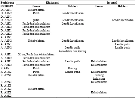 Tabel 3. Identifikasi  Sumber Kontaminasi dari Warna Koloni yang Terbentuk  (jamur dan bakteri) 