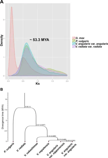 Figure 4 |plot of Ks values within each gene set of Analyses of the evolution of adzuki bean with comparison to closely related warm season legumes