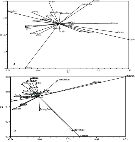 Figure 2. Principal component analysis (PCA) of 24 Indonesian-bred indica rice varieties based on physicochemical properties (A) and 30 molecular markers (B).