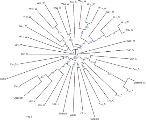 Fig. 1. Phylogenetic relationship between the ﬁve Indonesian cultivars and 31 wild and cultivated soybean accessions fromthe nodes represent the percentage of bootstrap values for 1000 replications and values less than 50 are not displayed in theChina
