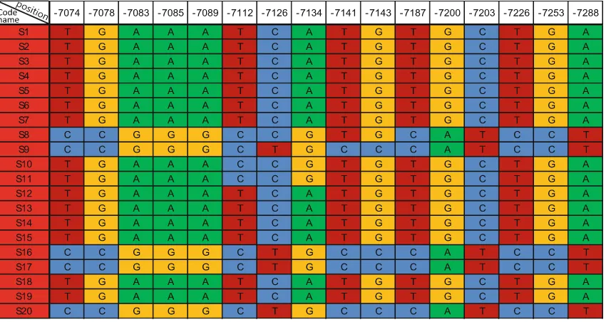 Fig. 1 Sequence polymorphisms and structure prediction in thegenomic region associated with MG in 56 genotypes of G