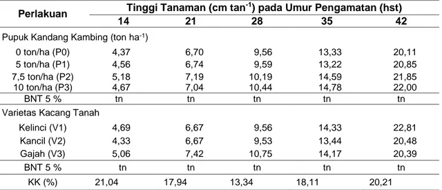 Tabel  1 Rerata Tinggi Tanaman (cm tan -1 ) terhadapPerbedaan Dosis Pupuk Kandang Kambing  dan Varietas Kacang Tanah pada BerbagaiUmur Pengamatan 