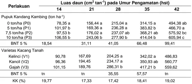 Tabel  3 Rerata Luas Daun (cm 2 tan -1 ) terhadap Perbedaan Dosis Pupuk Kandang Kambing dan  Varietas Kacang Tanah pada BerbagaiUmur Pengamatan 