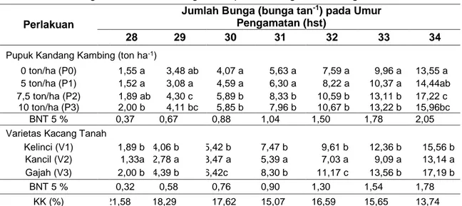 Tabel  4  Rerata  Jumlah  Bunga  (bunga  tan -1 )  terhadap  Perbedaan  Dosis  Pupuk  Kandang  Kambing dan Varietas Kacang Tanah pada BerbagaiUmur Pengamatan 