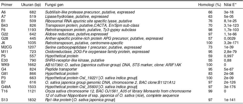 Tabel 3. Analisis homologi sekuen dari primer STS untuk mengetahui fungsi gen-nya di padi (O