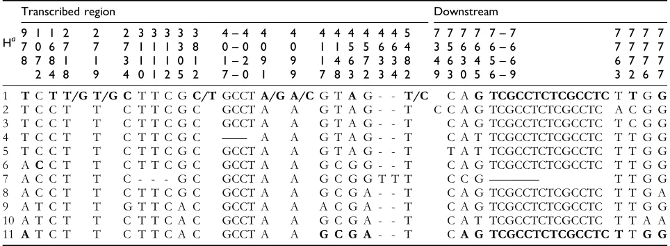 Table 7SNP and indel positions in the transcribed region dan downstream region of RSUS3 gene.