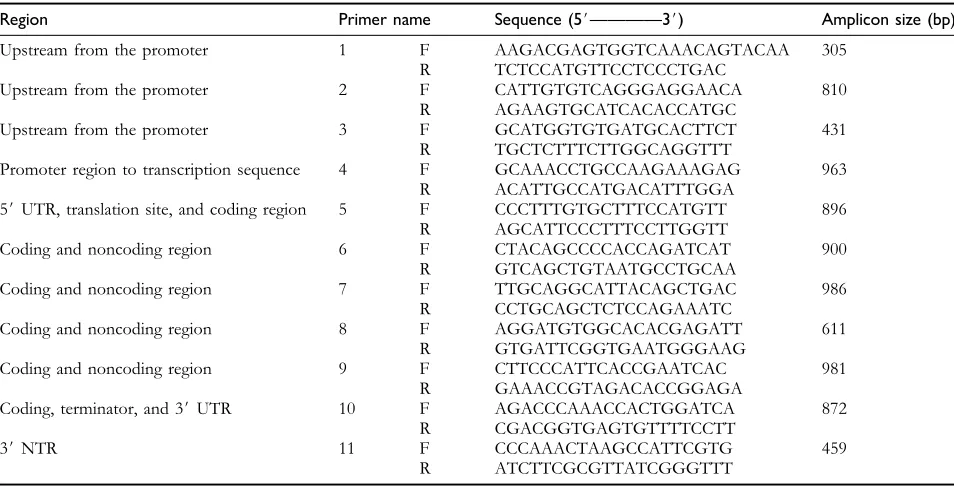 Figure 1.Representation of the DNA region containing RSUS3 that was ampliﬁed and sequenced from 43 rice varieties/accessions