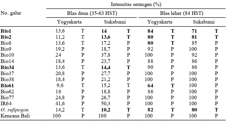 Tabel 2. Tingkat ketahanan 12 galur haploid ganda di Yogyakarta dan Sukabumi pada MH 2007