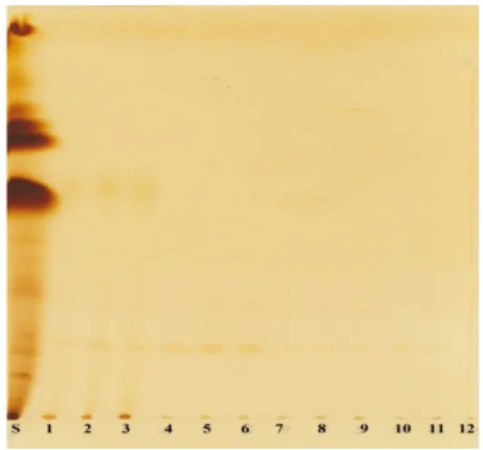 Gambar  8.  Thin-Layer  Chromatography  polyisoprenoid  alkohol  (dolichol)  dari  semai     S