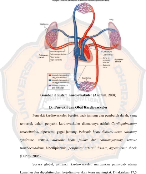 Gambar 2. Sistem Kardiovaskuler (Anonim, 2008) 