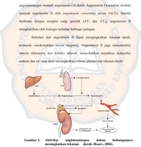 Gambar 3.  Aktivitas 