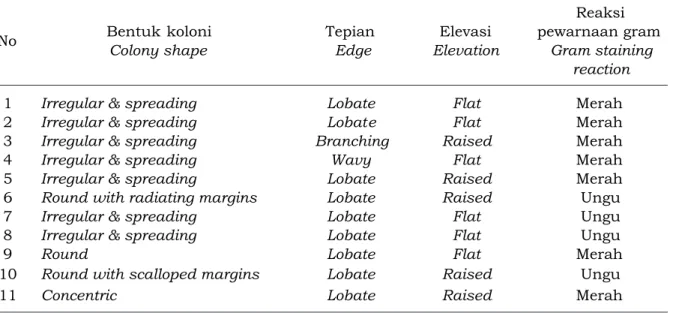 Tabel 4. Morfologi koloni bakteri pada medium Nutrien Agar (NA) Table 4. Morphology of bacterial colonies on Nutrient Agar (NA) medium 