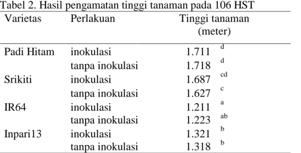 Tabel 2. Hasil pengamatan tinggi tanaman pada 106 HST  Varietas  Perlakuan  Tinggi tanaman 