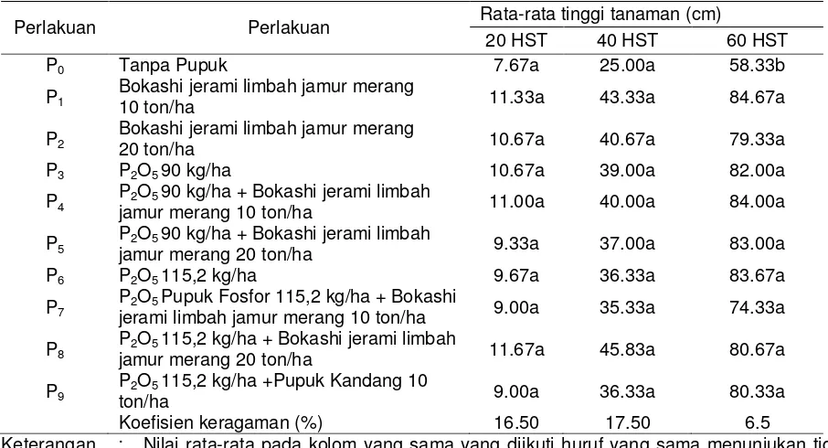 Tabel 1. Pengaruh kombinasi dosis pupuk fosfor dan pupuk organik bokashi jerami limbah jamur merang terhadap tinggi tanaman cabai merah (Capsicum annuum L) varietas Prabu