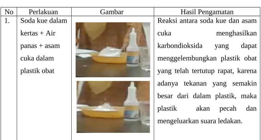 Gambar Hasil Pengamatan