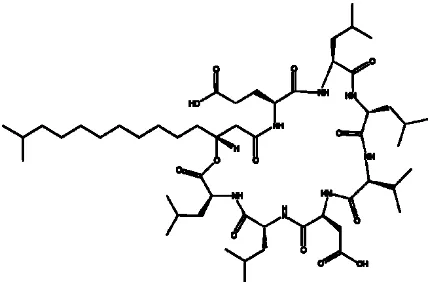 Gambar 3. Struktur kimia Surfactin (Lipopeptida) (Grau et al, 1999).     Selain bersifat antibiotik, surfaktin juga bersifat anti 