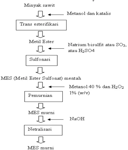 Gambar 9. Reaksi pembentukan Natrium metil ester sulfonat (Ani Suryani dkk, 2012) dan (Yeni Sulatri, 2010)