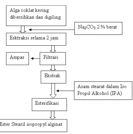 Gambar 11. Diagram alir sintesis biosurfaktan dari alga coklat (Mahreni dan Renung, 2015)