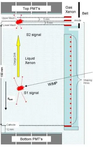 Gambar 7. Skema detektor XENON10. (Sumber: Gomez, 2007: 31). 