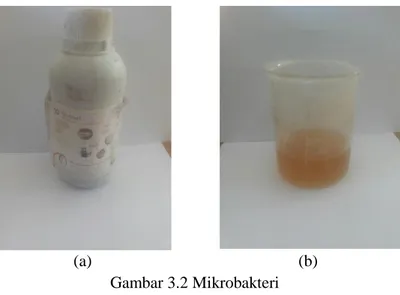 Gambar 3.2 Mikrobakteri  3.4.6  Black Liquor 