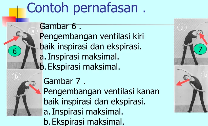 Gambar 6 . Pengembangan ventilasi kiri 