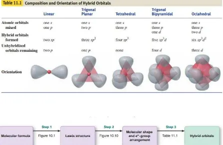 Tabel 1.1 Komposisi dan Bentuk Molekul dari Orbital Hibrida 