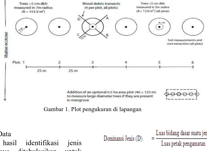 Gambar 1. Plot pengukuran di lapangan 