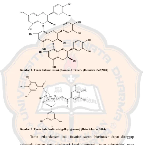 Gambar 1. Tanin terkondensasi (flavonoid trimer)  (Heinrich  et al,2004) 