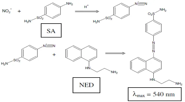 Gambar 2.2  Skema reaksi diazotasi (Sun, 2003) 