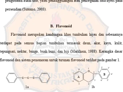 Gambar 1. Kerangka flavonoid (1a) dan sistem penomoran turunan  flavonoid (1b) (Robinson, 1995)  
