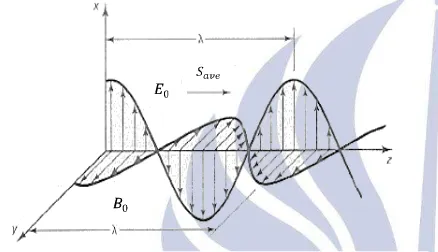 Gambar 1. Propagasisepanjang gelombang elektomagnetik  sumbu z (www.acienciasgalilei.com)