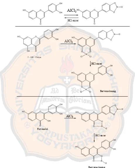 Gambar 4. Reaksi pembentukan kompleks flavonoid (flavon, 5-OH flavon, 