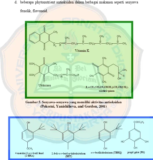 Gambar 5. Senyawa-senyawa yang memiliki aktivitas antioksidan 