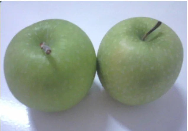 Gambar 1.  Buah apel merah yang diperoleh dari Supermarket Buah Palangkaraya  