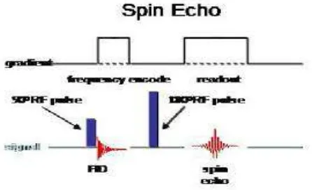 Gambar 2.6 Spin Echo  (Westbrook,C, dan Kaut,C, 1999). 